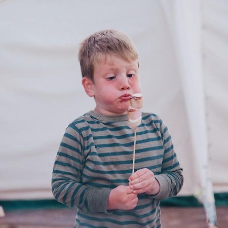 מלון לאנידלויס Ty Llewelyn Glamping & Camping מראה חיצוני תמונה